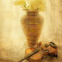 Buy canvas prints of   A Little Light Music by Tylie Duff Photo Art