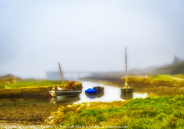 Sea Mists At Portencross Picture Board by Tylie Duff Photo Art