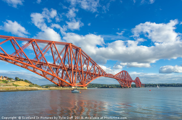 Sailing Boat At Anchor Beneath The Forth Bridge Picture Board by Tylie Duff Photo Art
