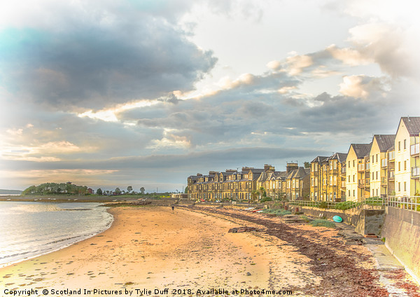 Fairlie Beach in Scotland Picture Board by Tylie Duff Photo Art