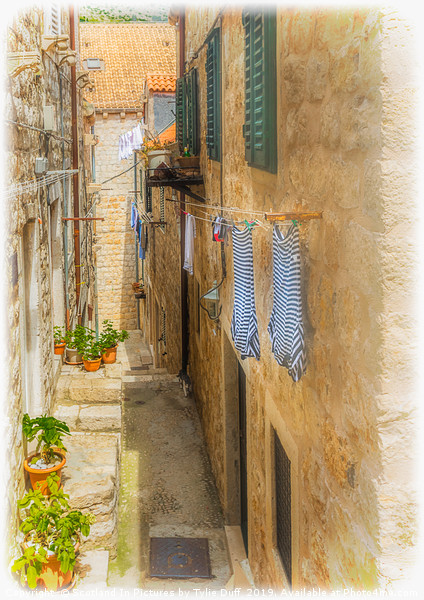 Wash Day in Dubrovnik Old Town Picture Board by Tylie Duff Photo Art