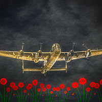 Buy canvas prints of Lest We Forget -Flight of The Lancaster by Tylie Duff Photo Art