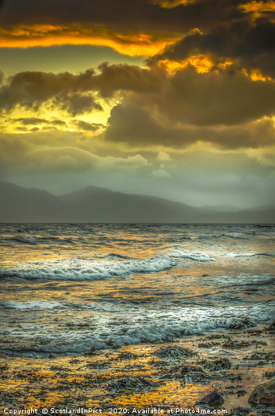 Arran Sunset From Seamill Beach Picture Board by Tylie Duff Photo Art