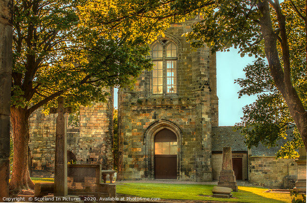 Evening Light At Kilwinning Abbey Scotland Picture Board by Tylie Duff Photo Art