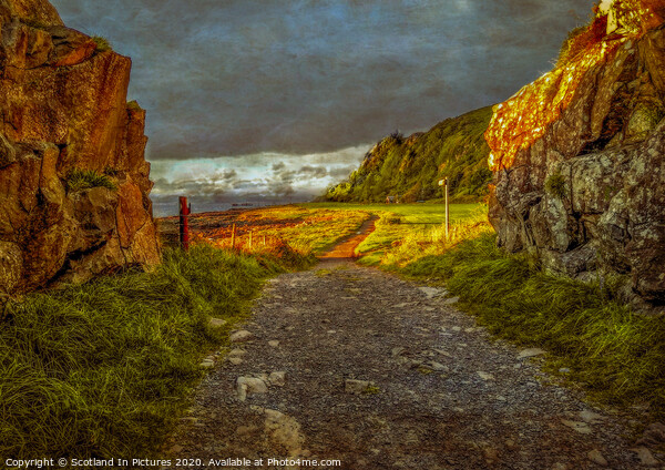 Coastal Path From Portencross To Hunterston Picture Board by Tylie Duff Photo Art
