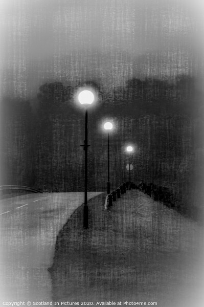 Street Lights In The Mist at Largs Yacht Haven Picture Board by Tylie Duff Photo Art