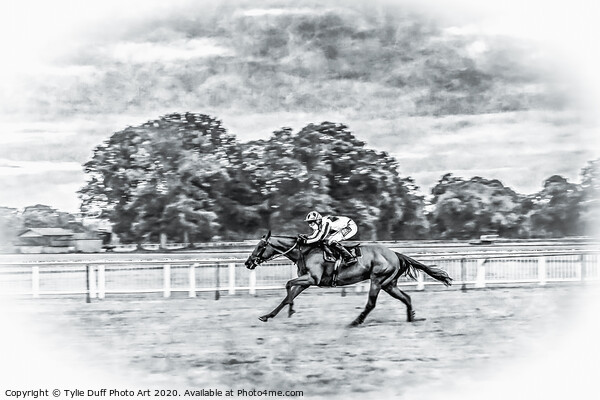 Perth Races In Scotland Picture Board by Tylie Duff Photo Art