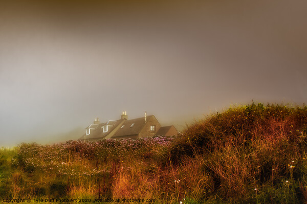 Cottage In The Mist At Portencross Picture Board by Tylie Duff Photo Art
