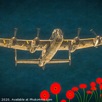 Buy canvas prints of Wings of Triumph - Flight of The Lancaster Bomber by Tylie Duff Photo Art