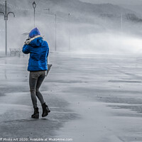 Buy canvas prints of Braving the Elements by Tylie Duff Photo Art