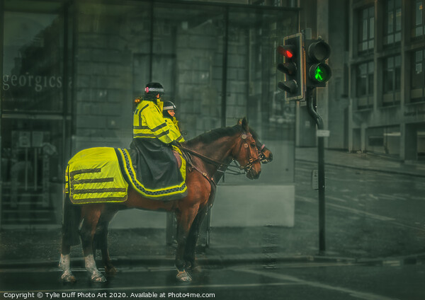 Police Horses At Glasgow Traffic Lights Picture Board by Tylie Duff Photo Art