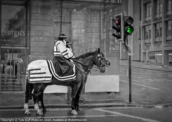 Police Horses At Glasgow Traffic Lights (Spot colo Picture Board by Tylie Duff Photo Art