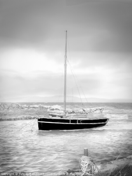 Sailing Boat At Anchor At Portencross Picture Board by Tylie Duff Photo Art