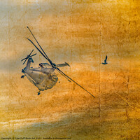 Buy canvas prints of Helicopter Chasing Seagull by Tylie Duff Photo Art