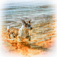 Buy canvas prints of Happy Dog Enjoys A Swim in the Clyde by Tylie Duff Photo Art