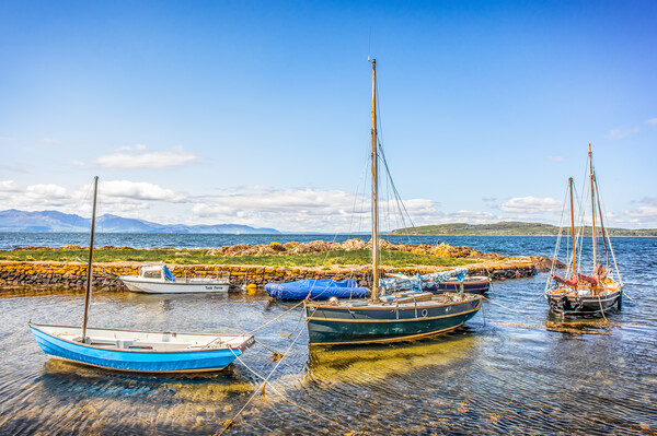 Boats In Portencross Harbour Picture Board by Tylie Duff Photo Art