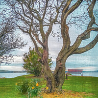 Buy canvas prints of View From Largs Over The Clyde by Tylie Duff Photo Art