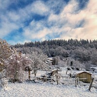 Buy canvas prints of Winter Scene by Philip Teale