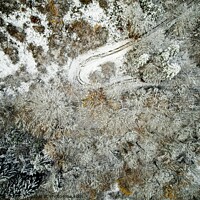 Buy canvas prints of Winter Forest from Above by Philip Teale
