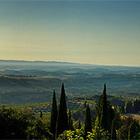 Buy canvas prints of Early Morning Tuscany by Philip Teale