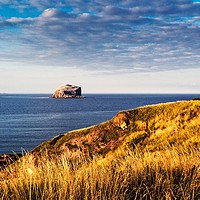 Buy canvas prints of Bass Rock, Scotland by Philip Teale