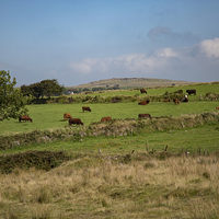 Buy canvas prints of The view from Nampara, Bodmin Moor, Cornwall by Brian Pierce