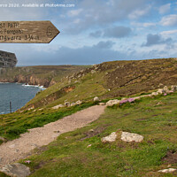 Buy canvas prints of The South West Coast Footpath at Lands End by Brian Pierce
