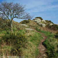 Buy canvas prints of Trencrom Hill, Cornwall by Brian Pierce