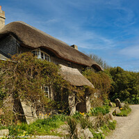 Buy canvas prints of Thatched Cottage, Penberth Cove, Cornwall by Brian Pierce