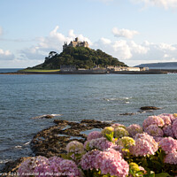 Buy canvas prints of St Michael's  mount with Hydrangeas  by Brian Pierce