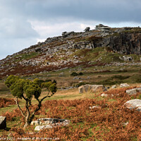 Buy canvas prints of Towards the Cheesewring, Bodmin Moor  by Brian Pierce