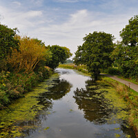 Buy canvas prints of The Bude Canal by Brian Pierce
