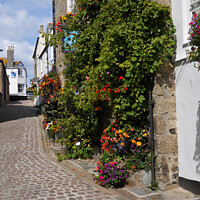 Buy canvas prints of The Grey Mullet, St Ives,  Cornwall by Brian Pierce