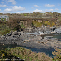 Buy canvas prints of Prussia Cove, Cornwall by Brian Pierce