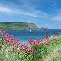 Buy canvas prints of Daymer Bay and Stepper Point  by Brian Pierce