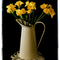 Buy canvas prints of Daffodils in a water jug by Brian Pierce