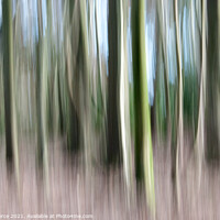 Buy canvas prints of Trees (Intentional Camera Movement) by Brian Pierce