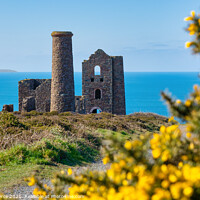 Buy canvas prints of Wheal Coates Mine, North Cornwall by Brian Pierce