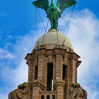 Buy canvas prints of Liver Bird by Brian Pierce