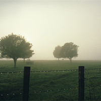 Buy canvas prints of Misty Morning by Bruce Stanfield