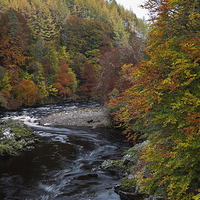 Buy canvas prints of Autumn in the gorge by Aaron Casey