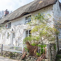 Buy canvas prints of Cornish Cottage  by Graham Custance