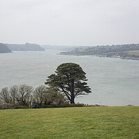 Buy canvas prints of Helford River by Graham Custance