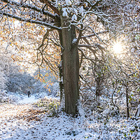 Buy canvas prints of Winter in the Chilterns by Graham Custance