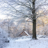 Buy canvas prints of Cabin in the Woods by Graham Custance