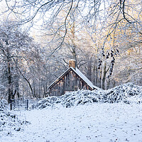 Buy canvas prints of Cabin in the Woods  by Graham Custance