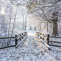 Buy canvas prints of Tranquil Ashridge Forest Bridge in Winter by Graham Custance