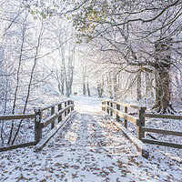 Buy canvas prints of Ashridge in Winter by Graham Custance
