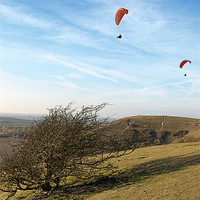 Buy canvas prints of Paragliding on the Downs by Graham Custance