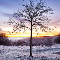 Buy canvas prints of Winter Sunrise by Graham Custance